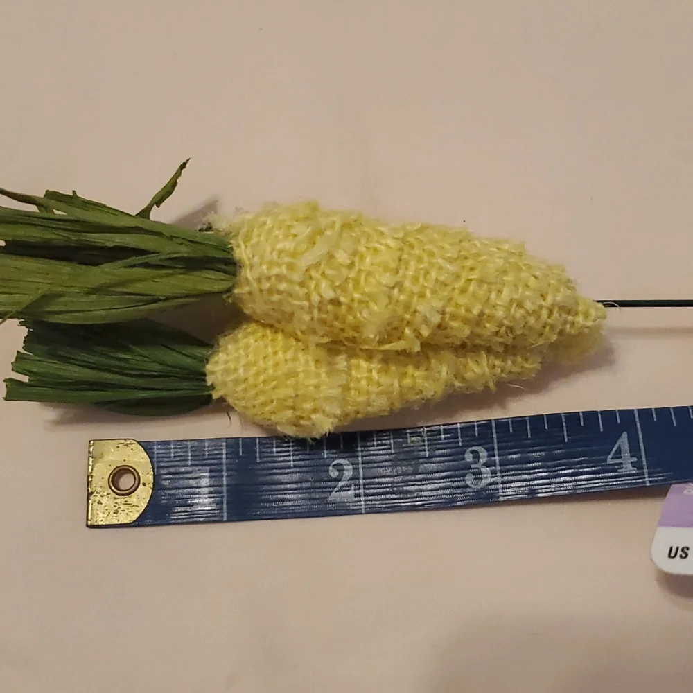 23 Yellow Carrot Picks